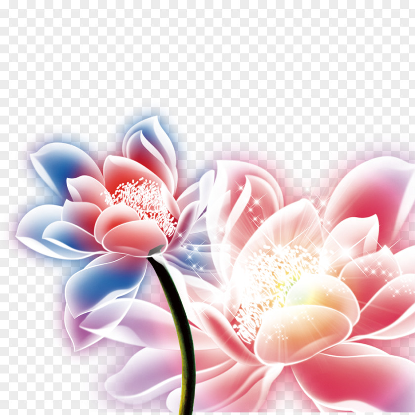 Sacred Lotus Mid-Autumn Festival Image Desktop Wallpaper PNG
