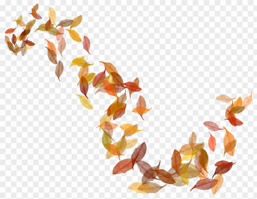 Transparent Fall Leaves Image Autumn Leaf Color PNG