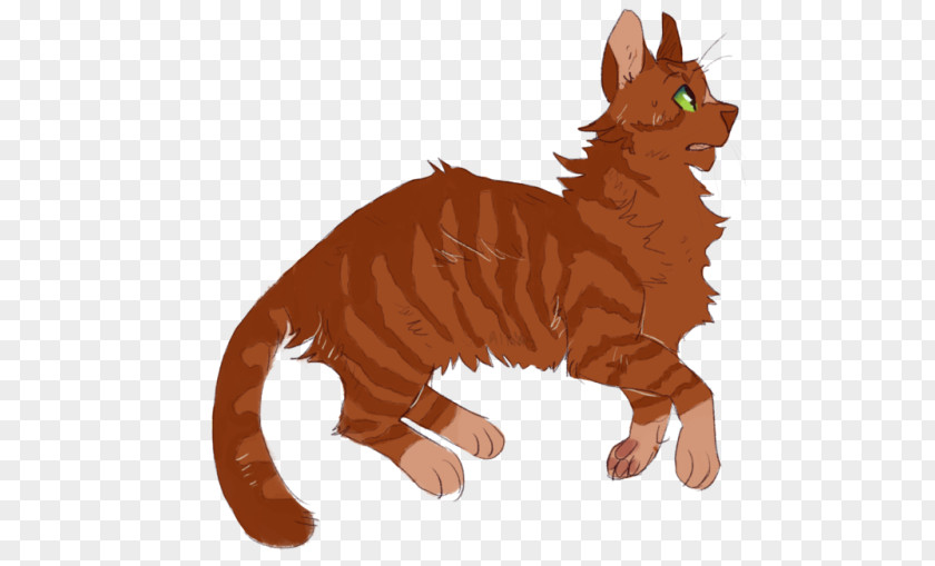 Cat Whiskers Crowfrost Tawnypelt Dawnpelt PNG