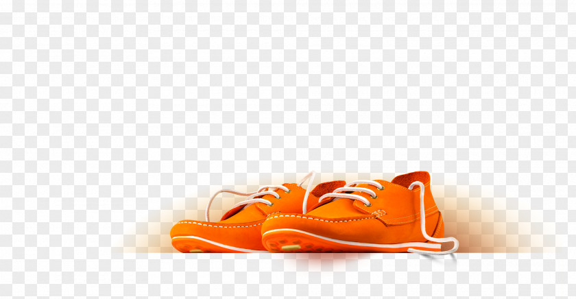 Design Product Shoe PNG