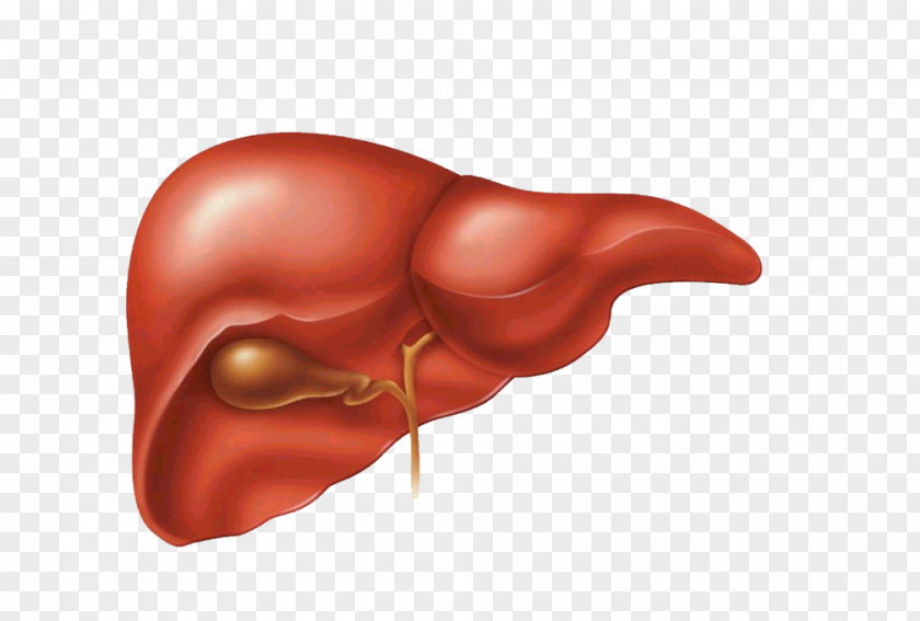 Facial Liver And Gallbladder Flush Disease PNG