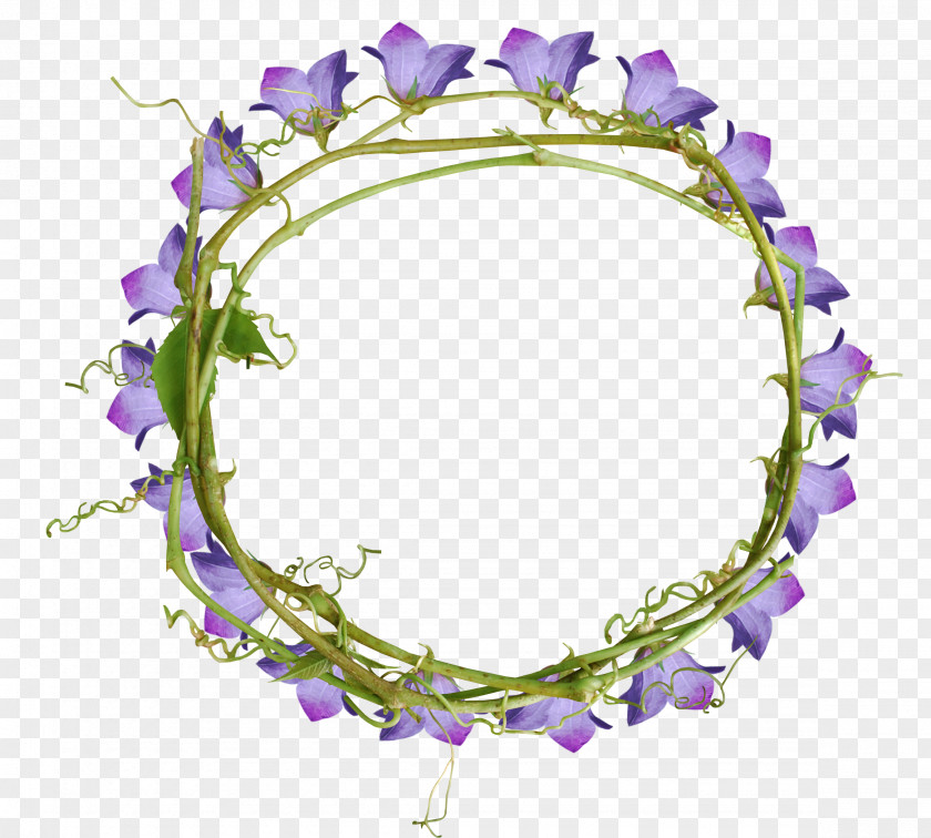 Flower Photography Floral Design Linkback PNG