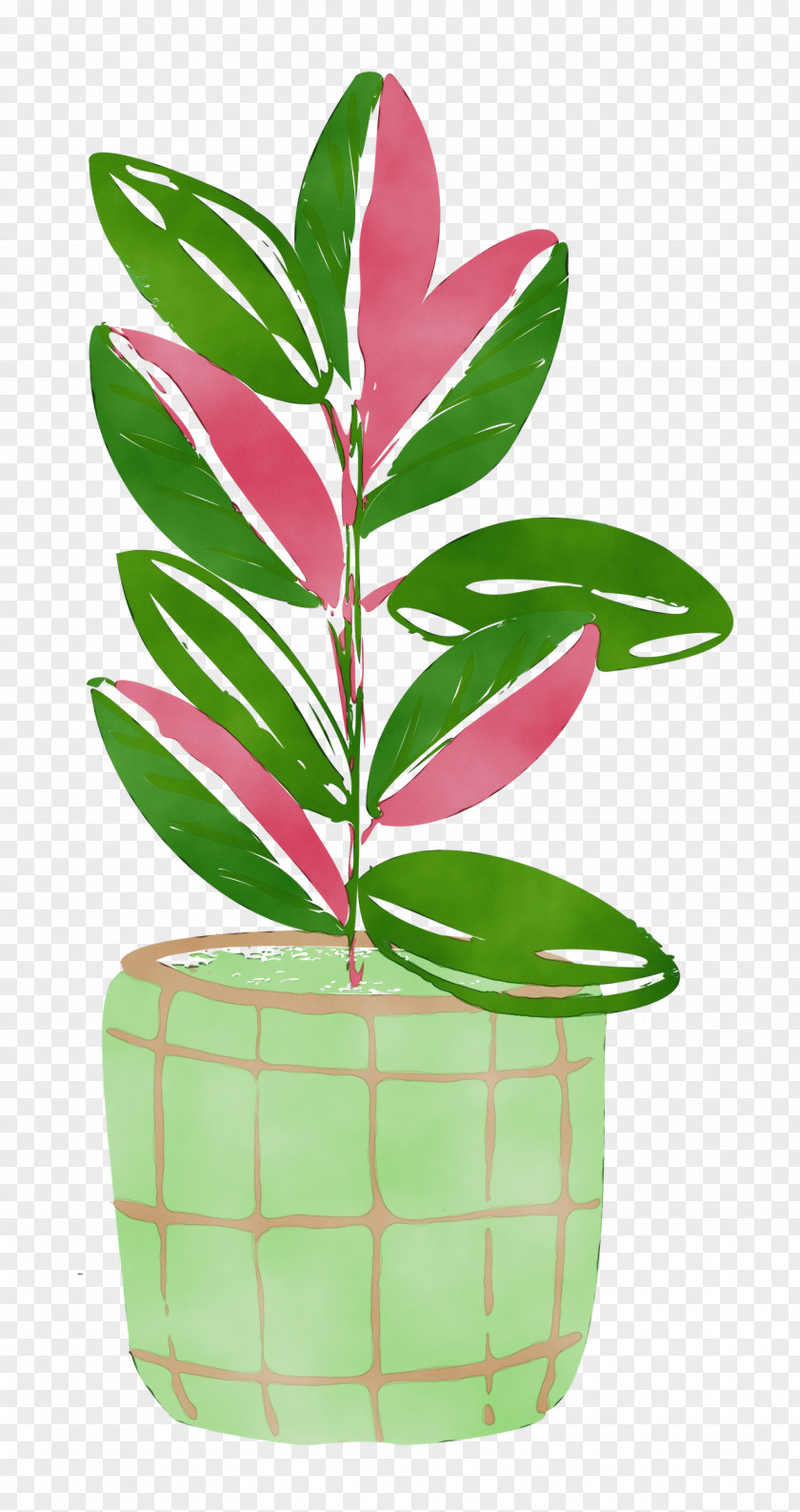 Leaf Plant Stem Houseplant Flowerpot Tree PNG