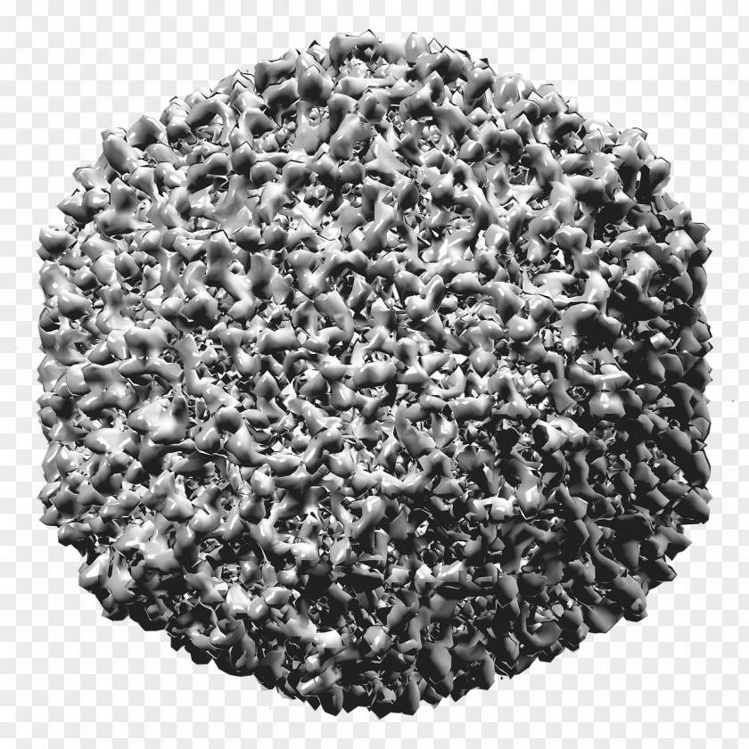 Polyhedral Virus Labeled Infectious Bursal Disease Infection PNG