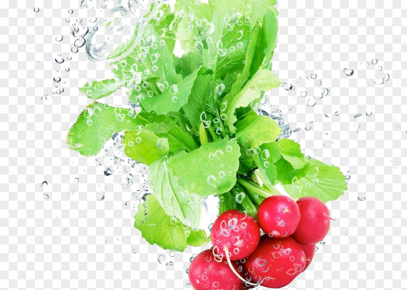 Water Cherries Amazing Vegetables Fruit Gundruk Wallpaper PNG