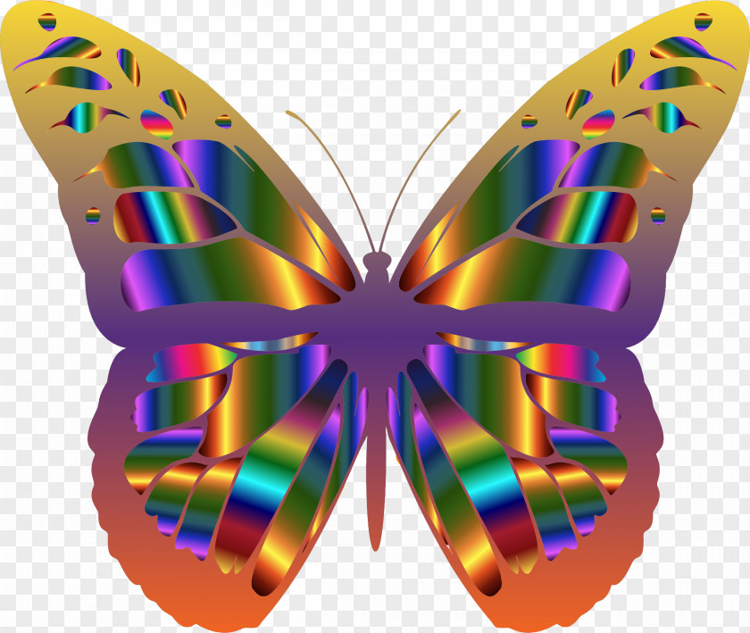 Butterfly Monarch Clip Art Image Graphics PNG