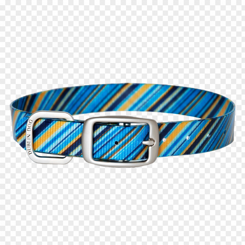 Collar Dog Crater Lake Belt Mount Rainier Park PNG