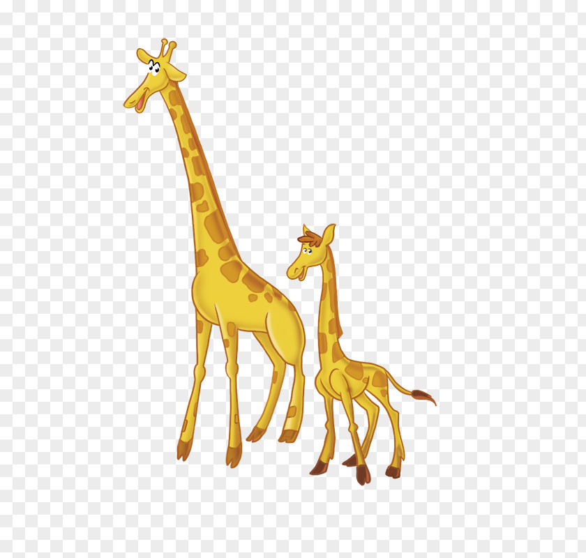 Giraffe Wildlife Fauna Terrestrial Animal PNG