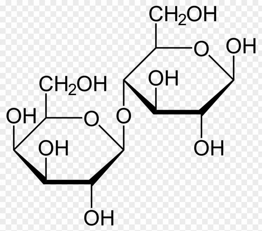 Glass Of Milk Lactose Intolerance Lactase Galactose PNG