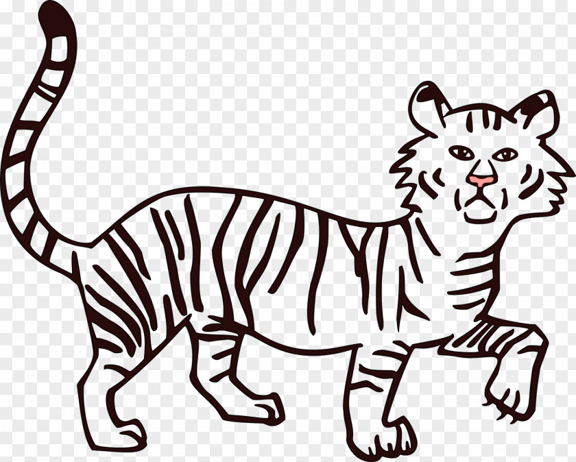 Kangaroo Drawing Cat Lion Bengal Tiger Clip Art PNG