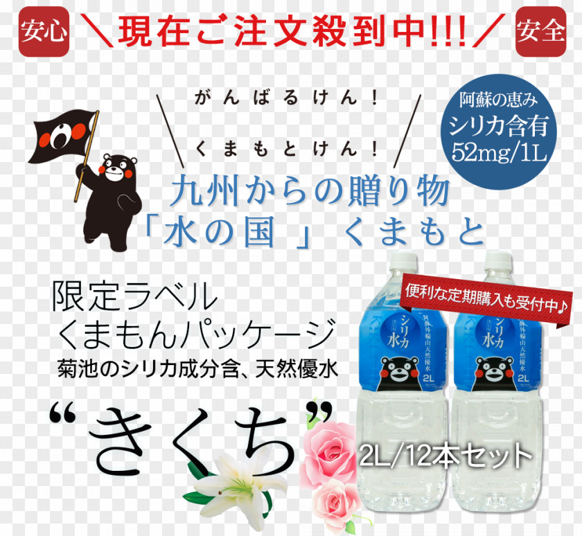 Kumamon Shoe Aso Pharmaceutical Logo Brand LINE PNG