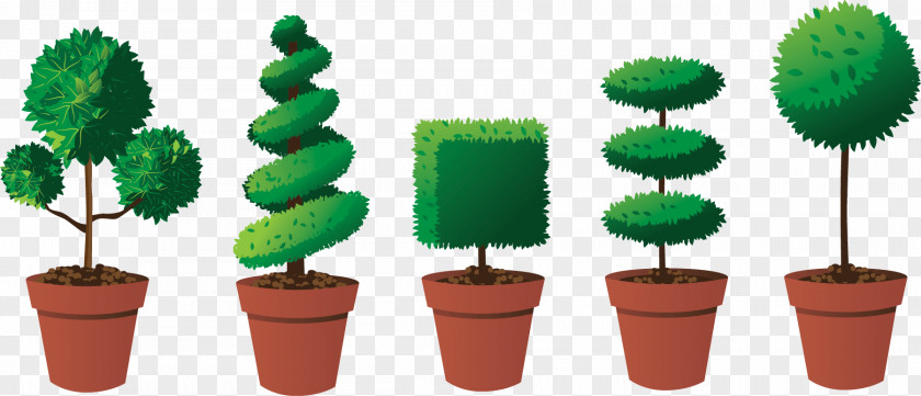 Plants Topiary Pruning Tree Box Hedge PNG