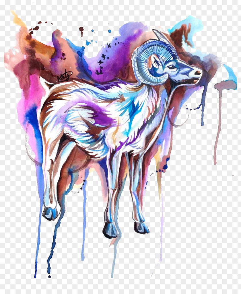 Sheep Tattoo Watercolor Painting Sketch PNG