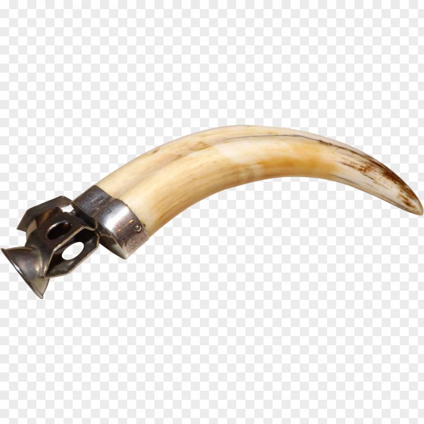 Cigar Wild Boar Cutter Antique Tusk PNG