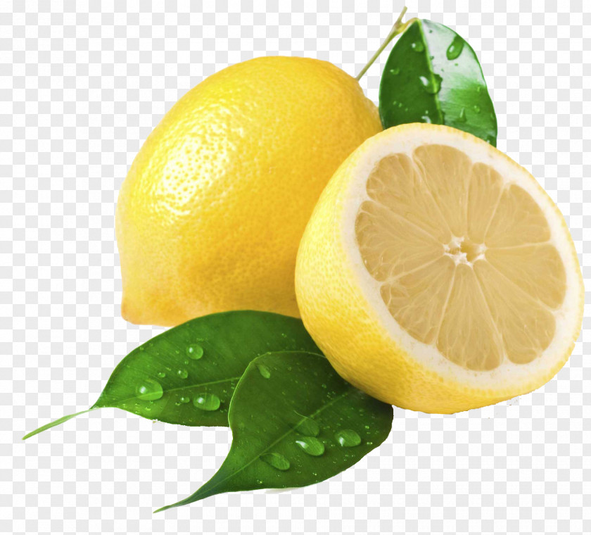 Lemon Juice Clip Art PNG