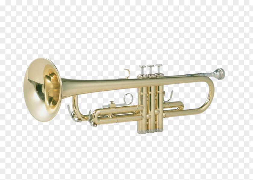 Musical Instruments Trombone Trumpet Saxophone Instrument PNG