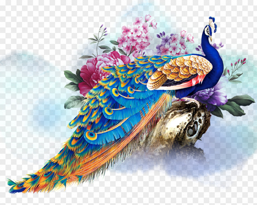 Peacock Painting Peafowl Rangoli PNG