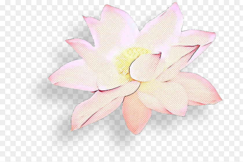 Proteales Blossom Lily Flower Cartoon PNG