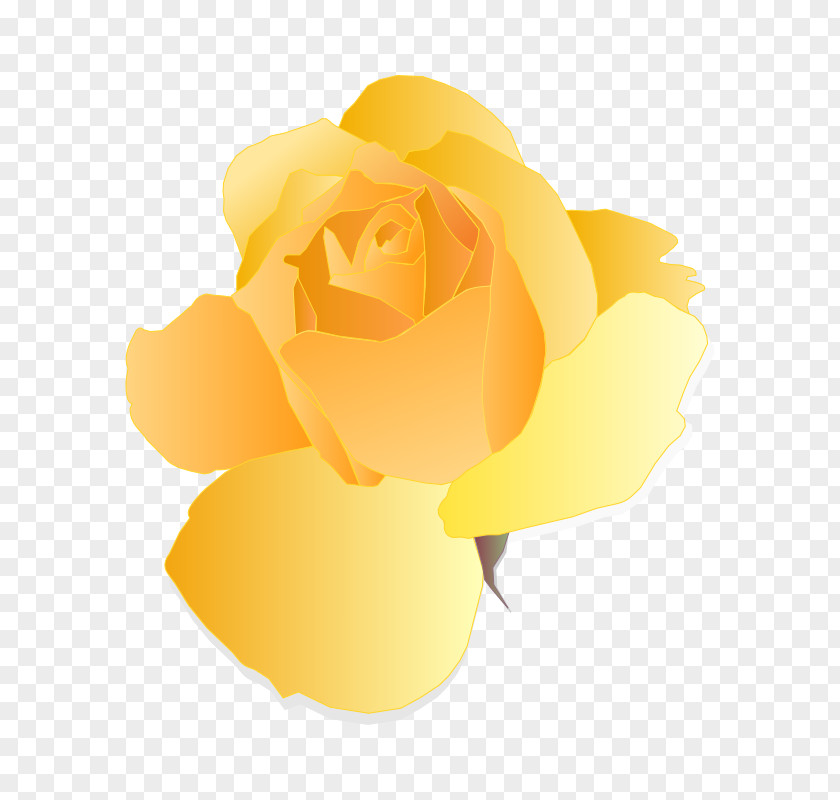 Rose Yellow Clip Art PNG