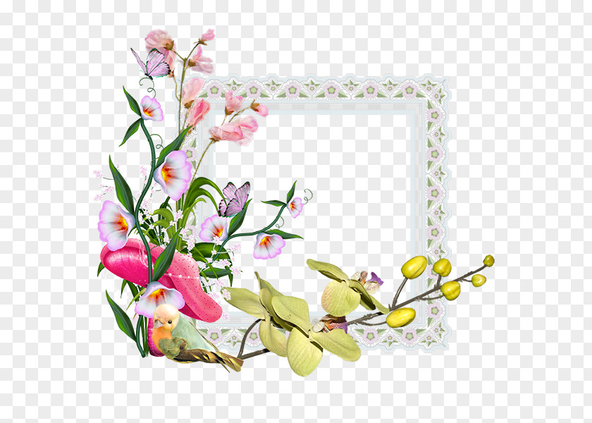Spring Frame Cut Flowers Picture Frames Floral Design PNG