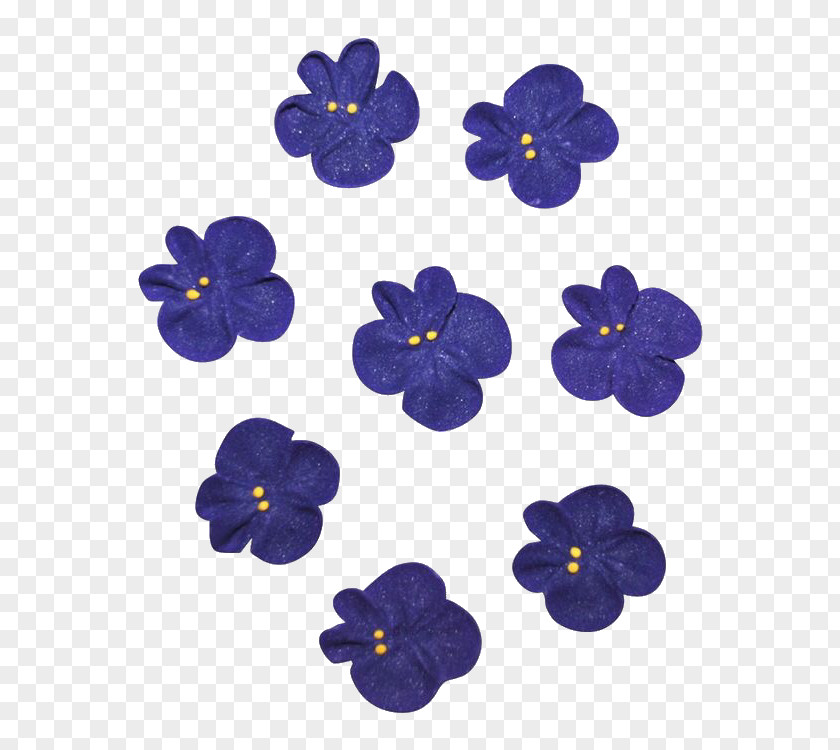 Violet Family Viola Drawing Of PNG