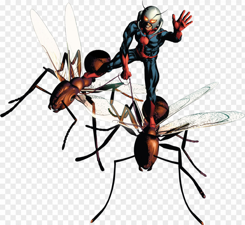 Ant Ant-Man Display Resolution PNG
