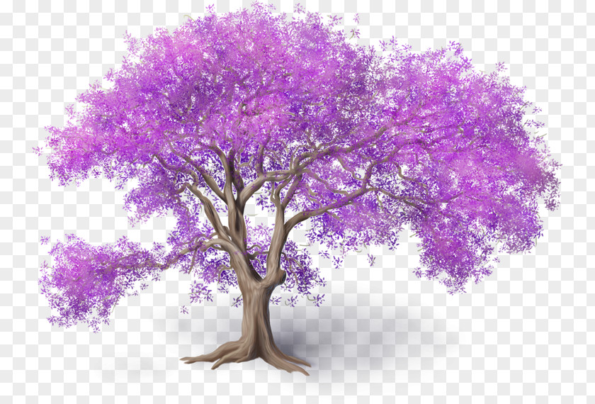 Branching PNG