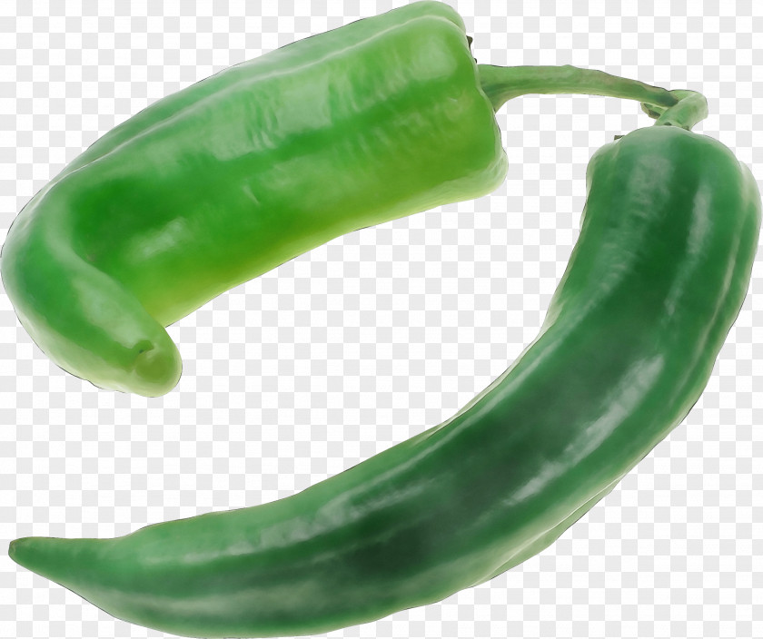 Cucumis Peperoncini Vegetable Bell Peppers And Chili Serrano Pepper Plant PNG