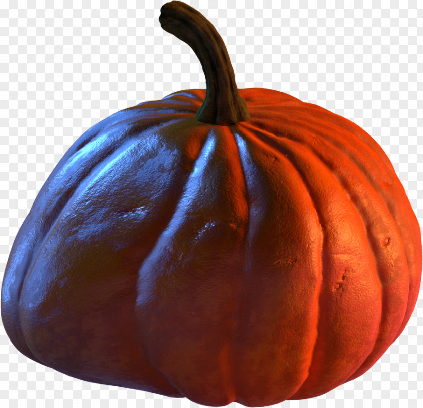 Pumpkin Gourd Winter Squash Calabaza Cucurbita PNG