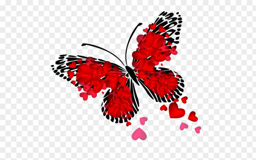 Butterfly Red The Little Guide To Butterflies Curtain PNG