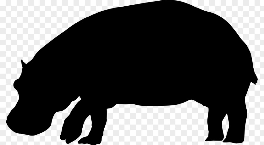 Hippo Fiona Pig Hippopotamus Silhouette Clip Art PNG