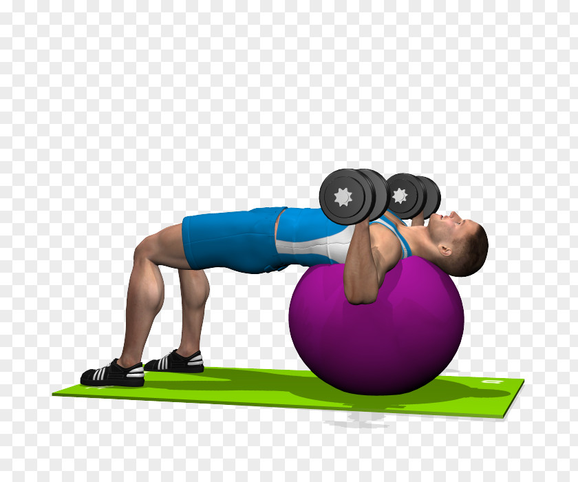 Pilates Medicine Balls Exercise PNG