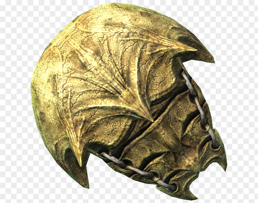 Shield The Elder Scrolls V: Skyrim – Dragonborn III: Morrowind Kite Armour PNG