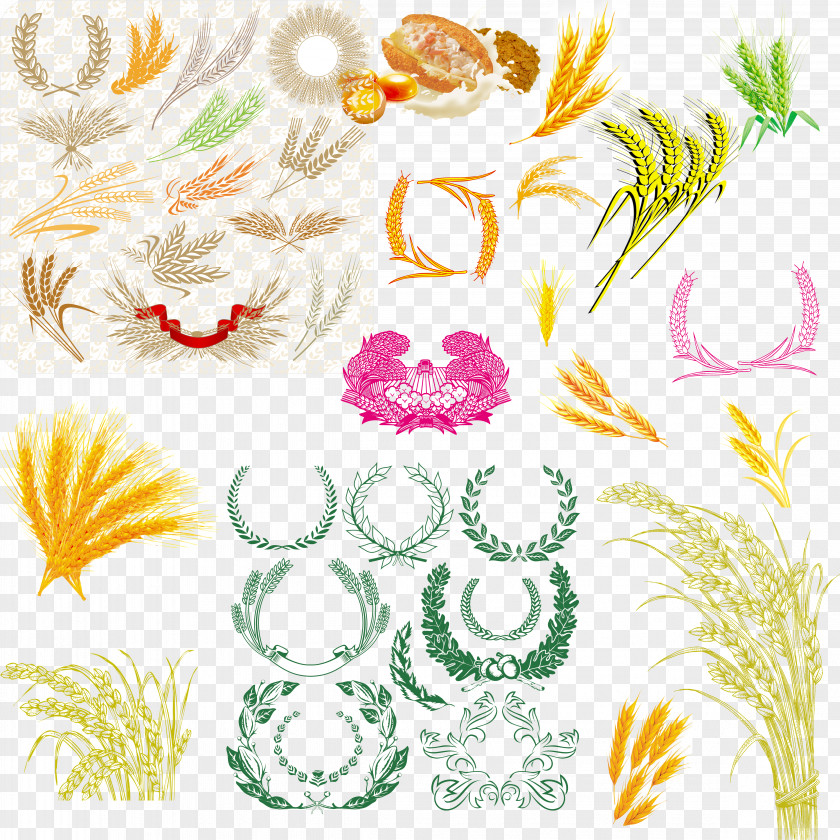 Wheat Graphic Design Download Pattern PNG