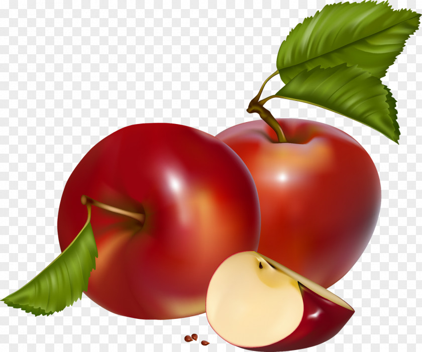 Apple Fruit Clip Art PNG