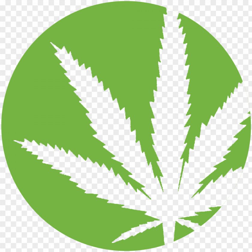 Cannabis Medical Leaf Clip Art PNG