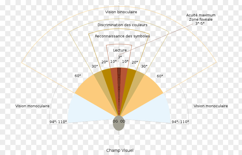 Eye Field Of View Visual Oculus Rift Peripheral Vision PNG