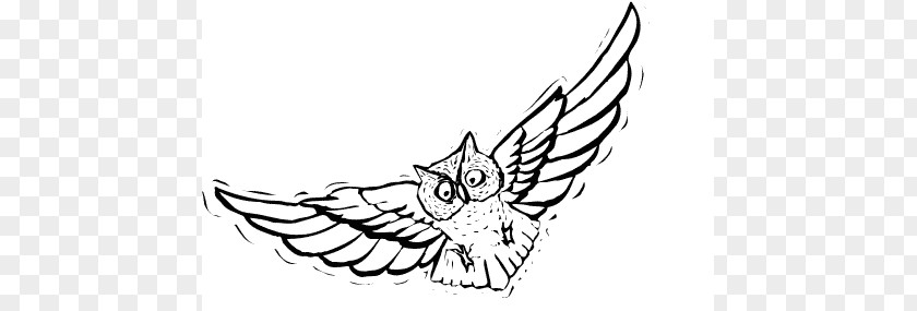 Horned Owl Cliparts Flight Bird Drawing Clip Art PNG