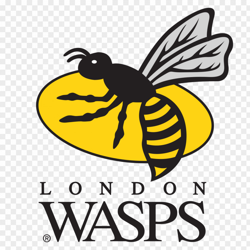 Rugby Wasps RFC Ricoh Arena London Irish Gloucester Worcester Warriors PNG