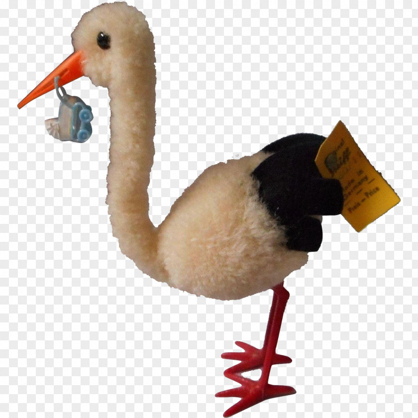 Stork Water Bird Goose Cygnini Anatidae PNG