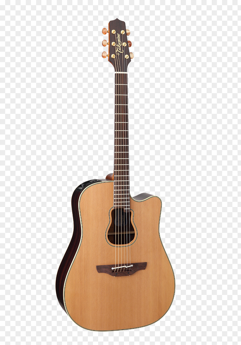 Acoustic Guitar Acoustic-electric Takamine Guitars Dreadnought PNG