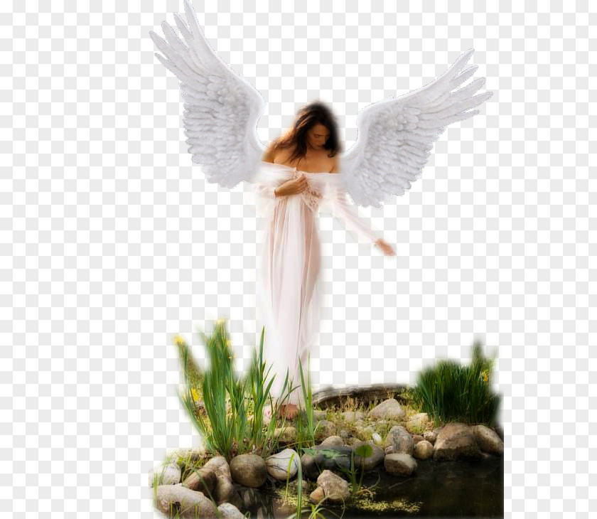 Angel Angels White Guardian PNG
