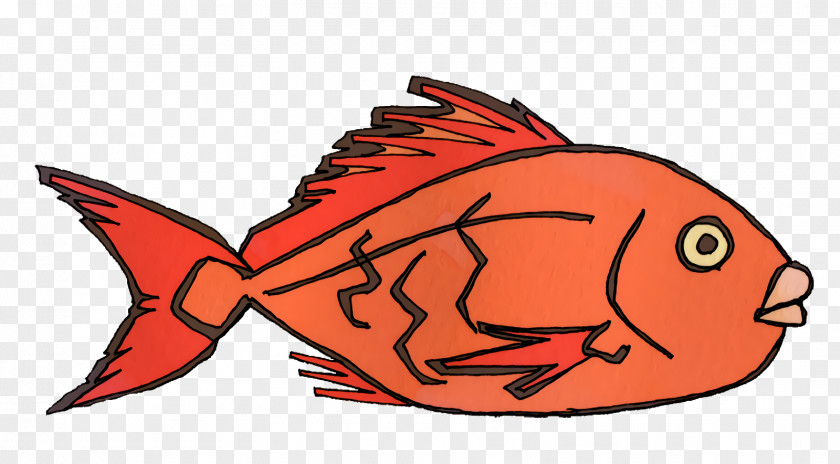 Cartoon Fish Science Biology PNG