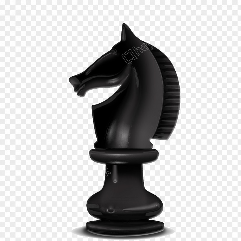 Chess Piece Knight King Queen PNG