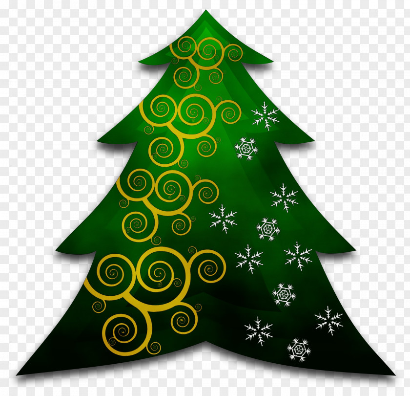 Conifer Fir Christmas Tree PNG