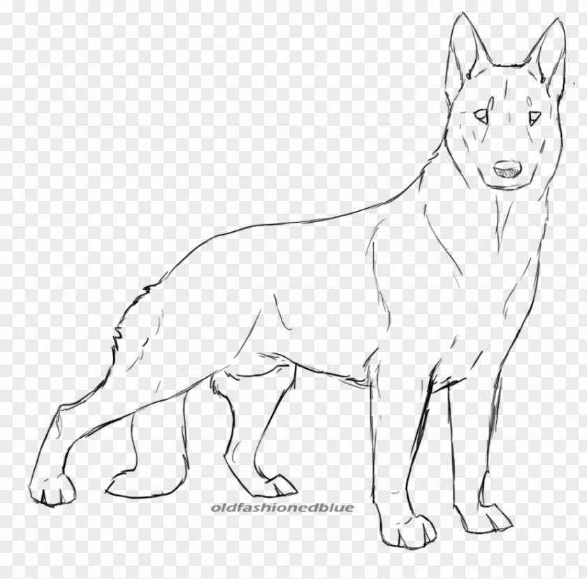 Czechoslovakian Wolfdog Saarloos Dog Breed Line Art PNG