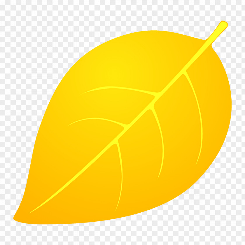 Plant Orange PNG