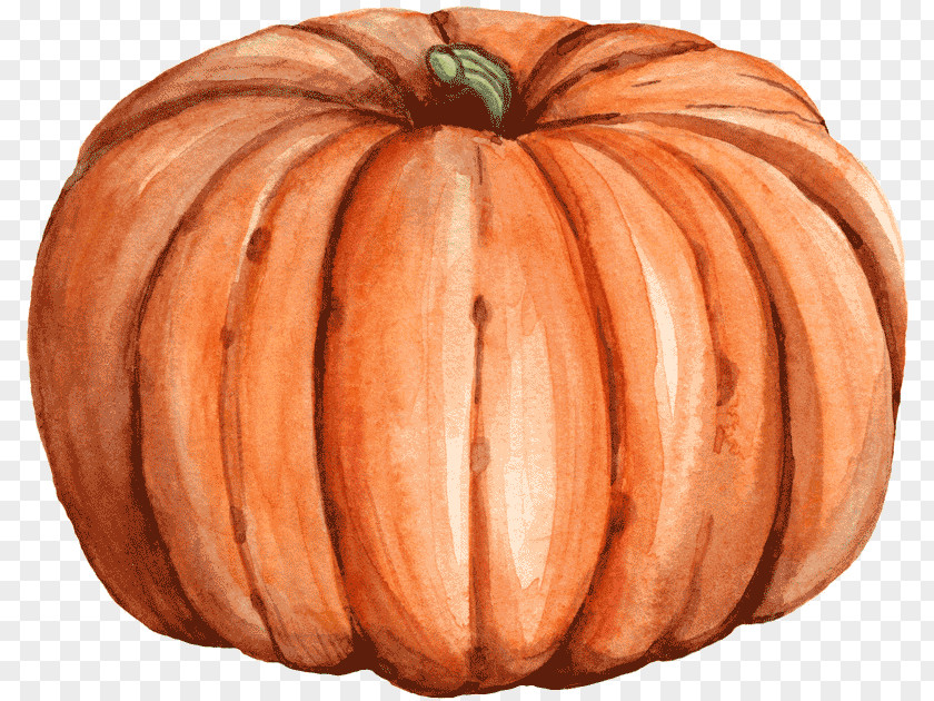 Pumpkin Calabaza Winter Squash Gourd Autumn PNG