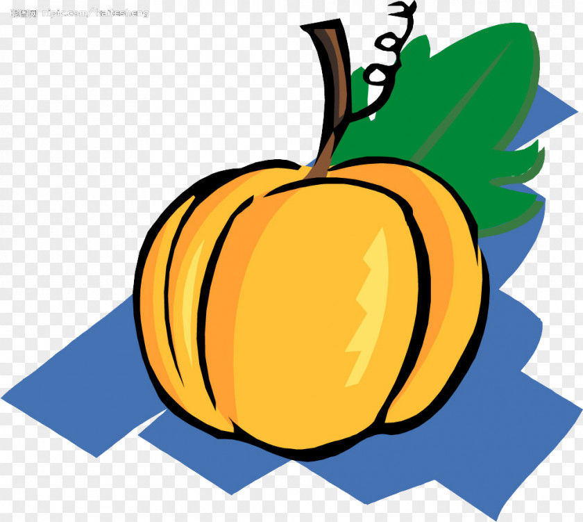 Pumpkin Jack-o-lantern Calabaza Clip Art PNG