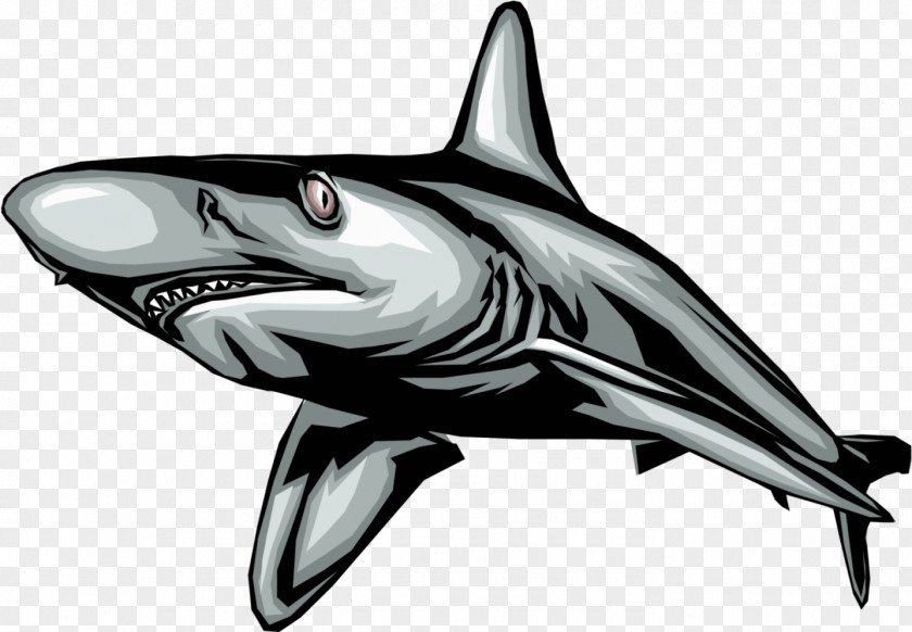 Sharks Great White Shark Royalty-free Clip Art PNG